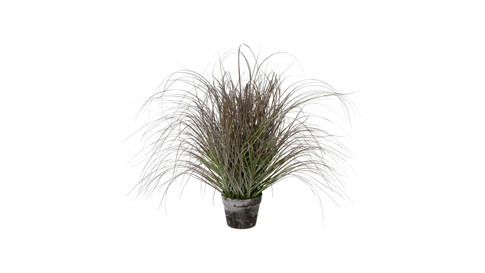 Pflanze Gasper aus Kunststoff in Grün künstliche Graspflanze geeiste Optik – Höhe ca. 70 cm