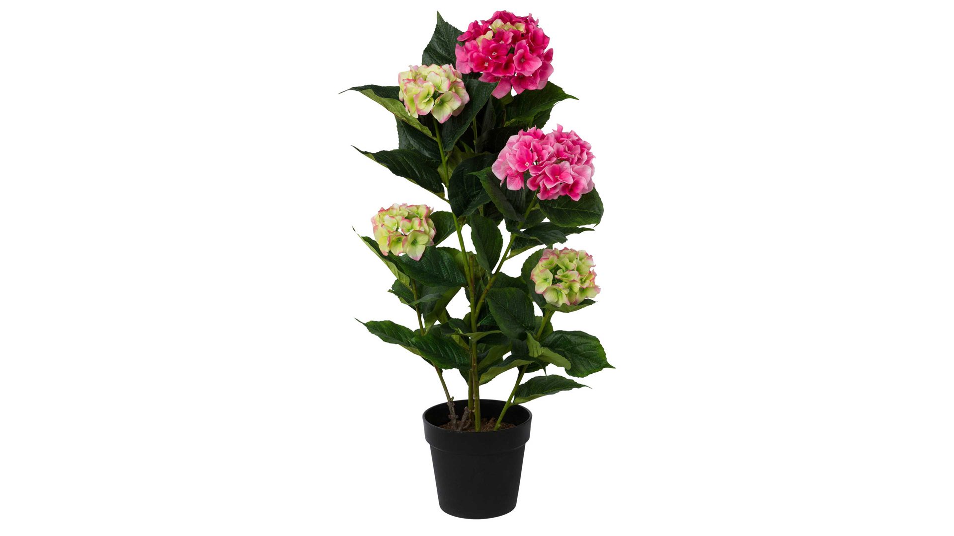Pflanze Gasper aus Stoff in Pink Hortensienpflanze magentafarbene Textilblüten – Höhe ca. 92 cm