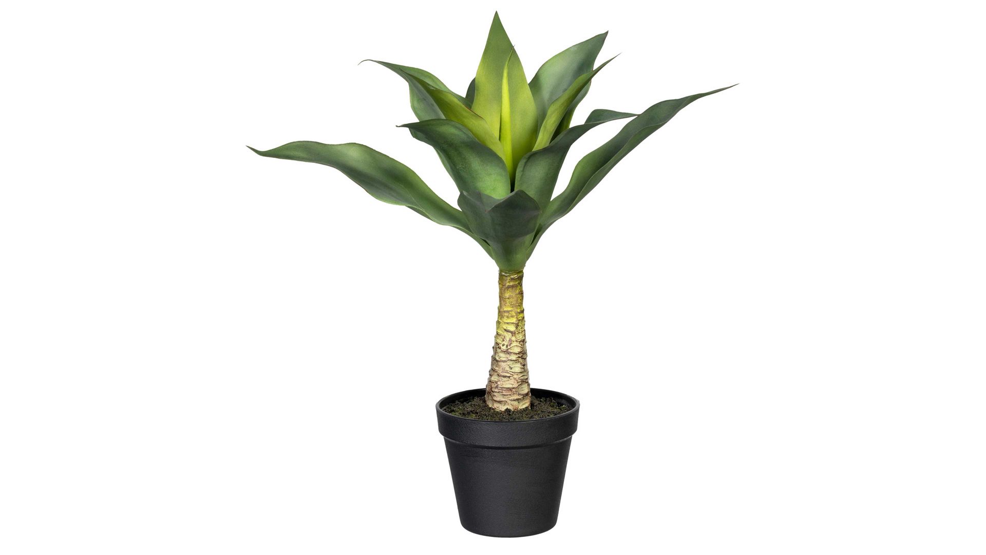 Pflanze Gasper aus Kunststoff in Grün Agaven-Stämmchen grüner Kunststoff & schwarzer Topf – Höhe ca. 45 cm