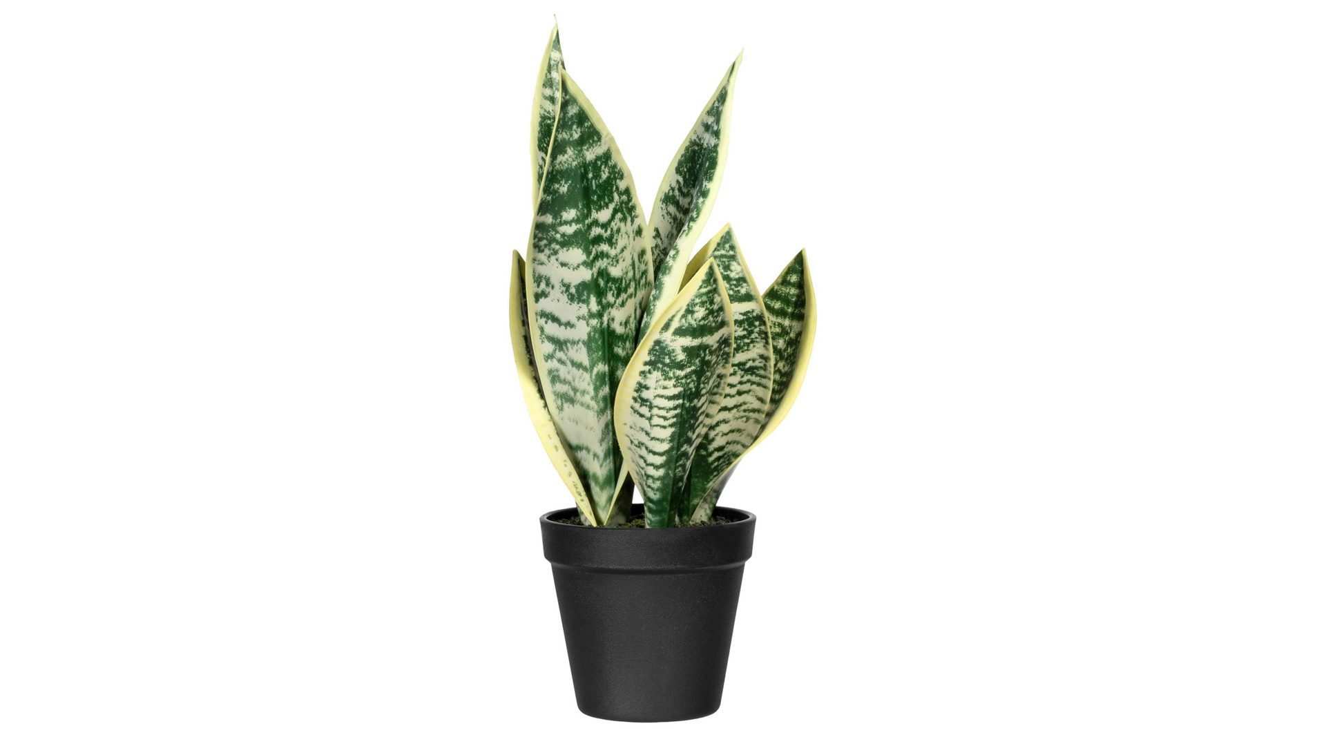 Pflanze Gasper aus Kunststoff in Grün Bogenhanf Sanseveria weiß-grüner Kunststoff & schwarzer Topf – Höhe ca. 33 cm