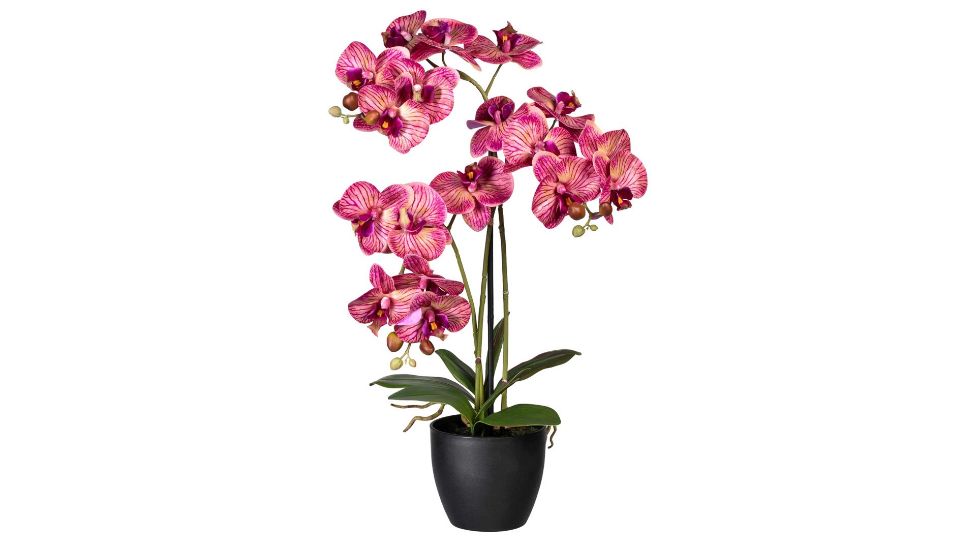 Pflanze Gasper aus Stoff in Lila Orchidee Phalaenopsis cremelilafarbene Textilblüten & schwarzer Topf – Höhe ca. 65 cm