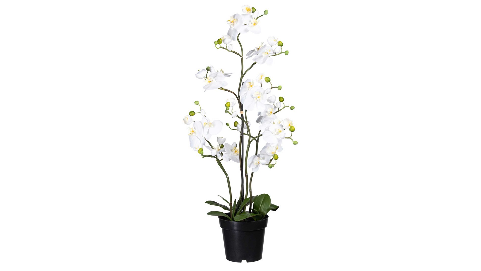 Pflanze Gasper aus Stoff in Weiß Orchidee Phalaenopsis weiße Textilblüten & schwarzer Topf – Höhe ca. 90 cm