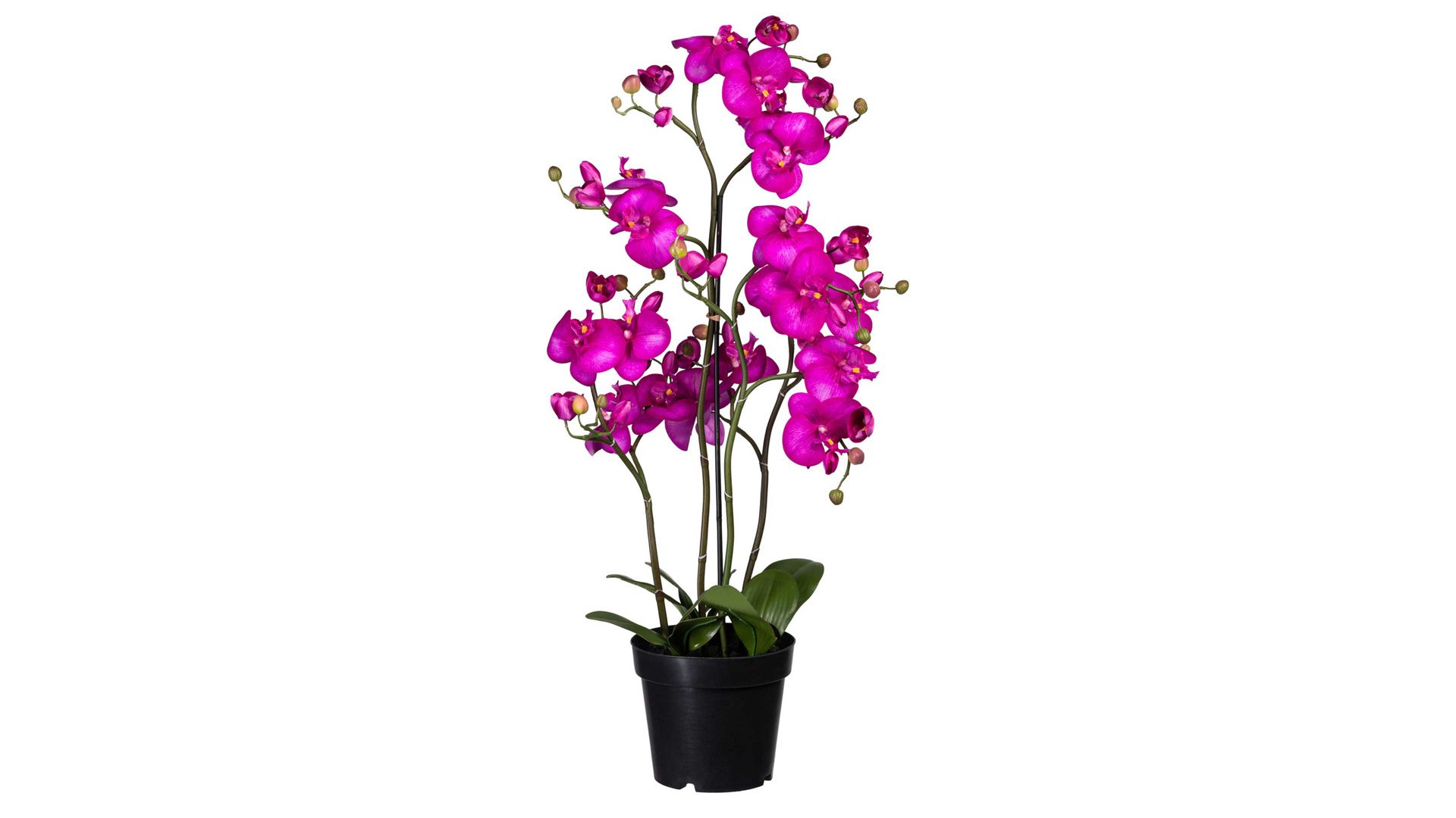 Pflanze Gasper aus Stoff in Lila Orchidee Phalaenopsis lilafarbene Textilblüten & schwarzer Topf – Höhe ca. 90 cm
