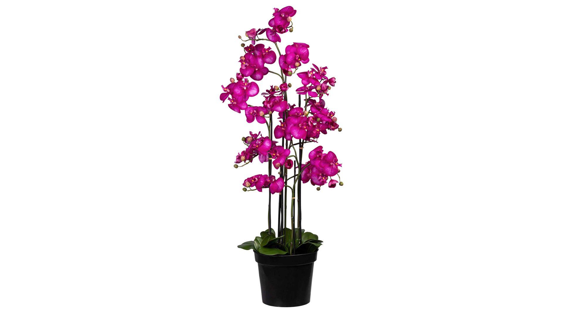 Pflanze Gasper aus Stoff in Lila Orchidee Phalaenopsis lilafarbene Textilblüten & schwarzer Topf – Höhe ca. 130 cm