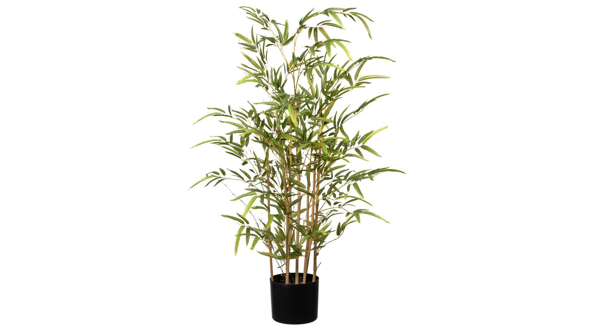 Pflanze Gasper aus Kunststoff in Grün Bambus grüner Kunststoff & schwarzer Topf – Höhe ca. 100 cm