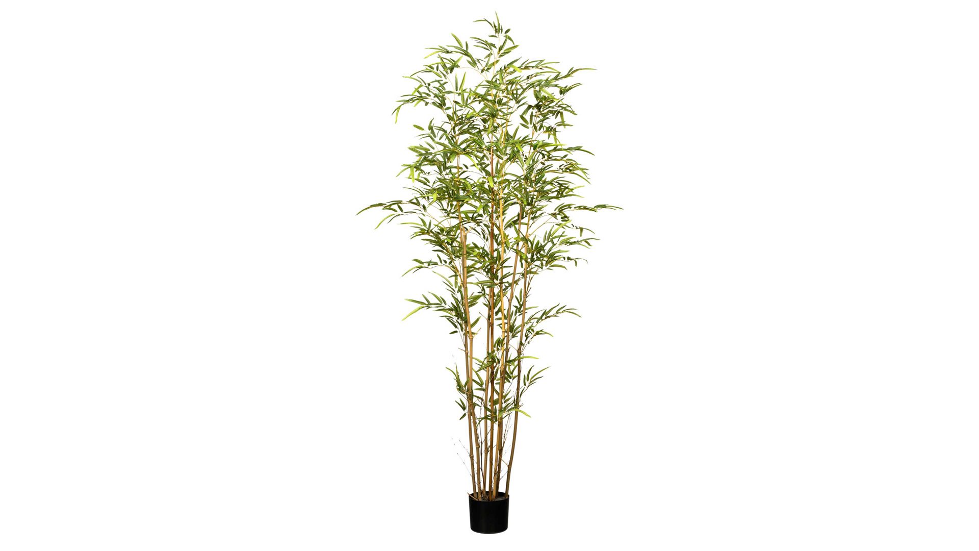 Pflanze Gasper aus Kunststoff in Grün Bambus grüner Kunststoff & schwarzer Topf – Höhe ca. 180 cm