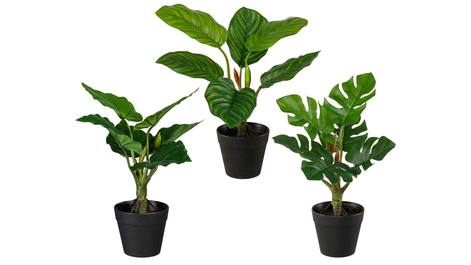 Pflanze Gasper aus Kunststoff in Grün Grünpflanzen-Mix grüner Kunststoff & schwarze Töpfe – dreiteilig, Höhe ca. 26 cm