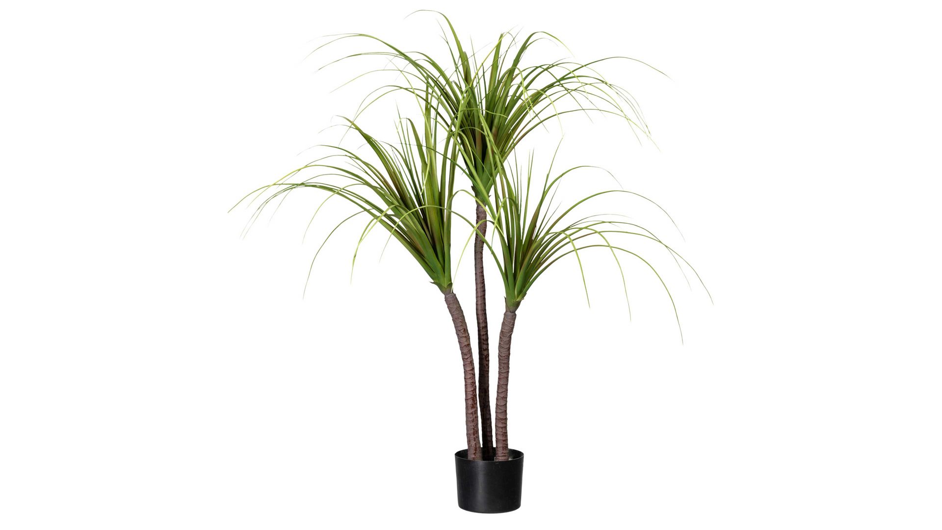 Pflanze Gasper aus Kunststoff in Grün Drachenbaum grüner Kunststoff & schwarzer Topf – Höhe ca. 120 cm