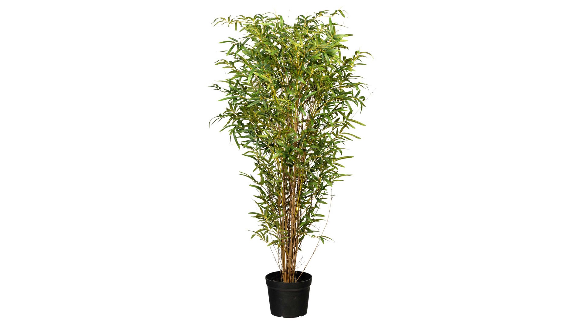 Pflanze Gasper aus Kunststoff in Grün Bambus grüner Kunststoff & schwarzer Topf – Höhe ca. 150 cm