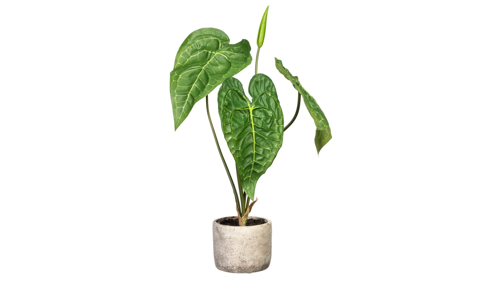 Pflanze Gasper aus Kunststoff in Grün Anthurie grüner Kunststoff & Zementtopf – Höhe ca. 60 cm