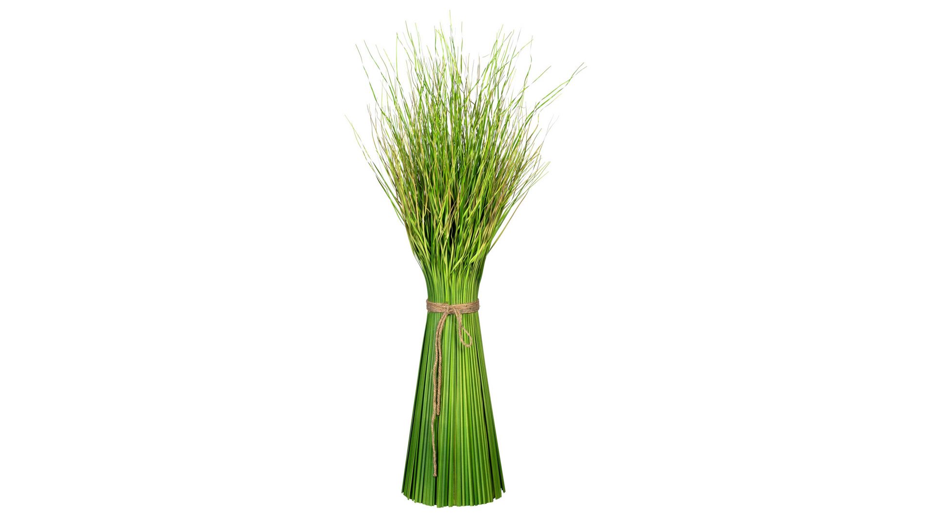 Pflanze Gasper aus Kunststoff in Grün Grasbusch Dancing Queen grüner Kunststoff – Höhe ca. 80 cm