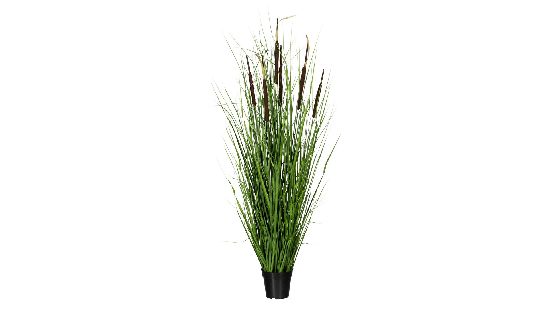 Pflanze Gasper aus Kunststoff in Grün Grasbusch mit Schilfkolben grüner Kunststoff & schwarzer Topf – Höhe ca. 150 cm