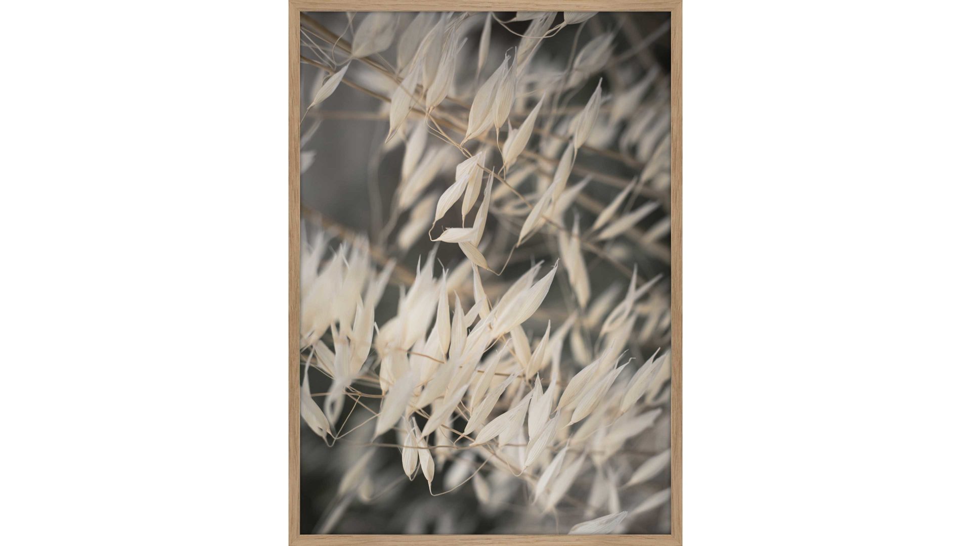 Kunstdruck Malerifabrikken aus Holz in Grau Posterdruck Mellow Grasses 4 bedrucktes Holz & Eiche – ca. 50 x 70 cm