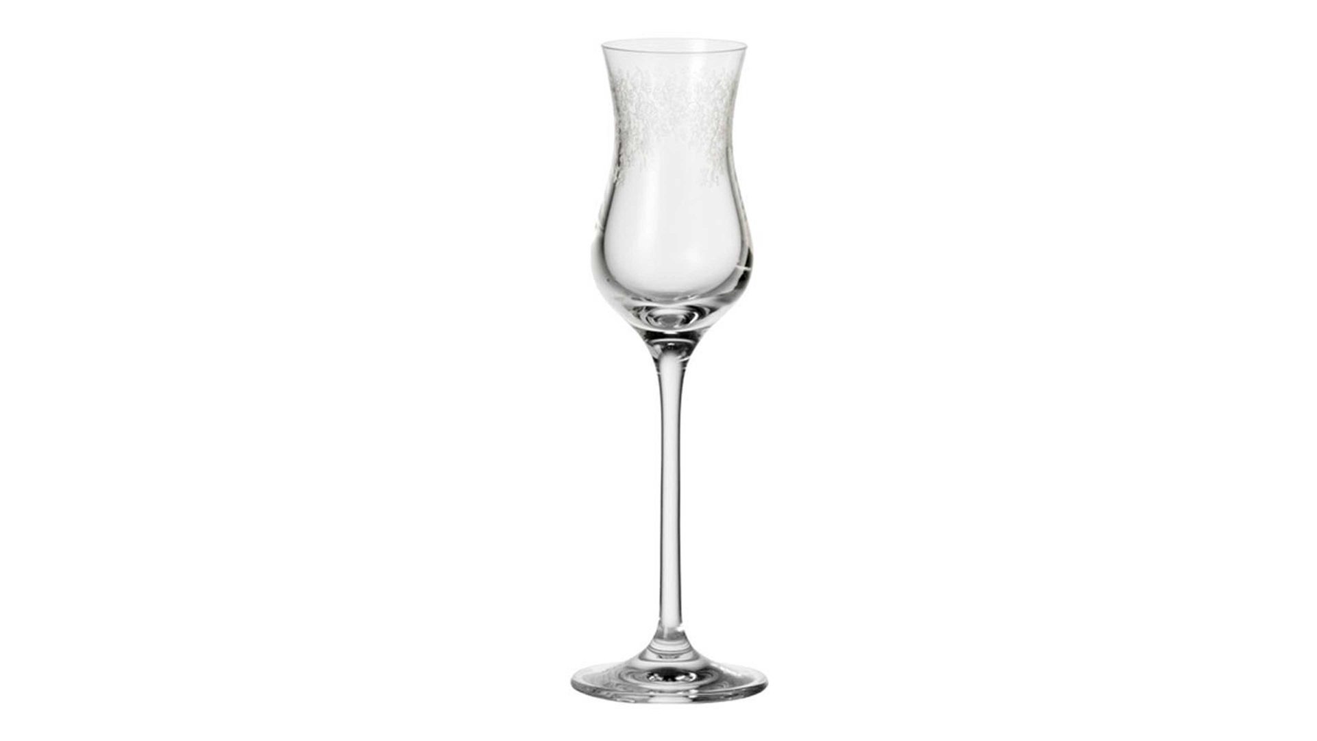 Grappaglas Leonardo | glaskoch aus Glas in Transparent LEONARDO Grappaglas Chateau TEQTON®-Klarglas - ca. 50 ml Nutzinhalt