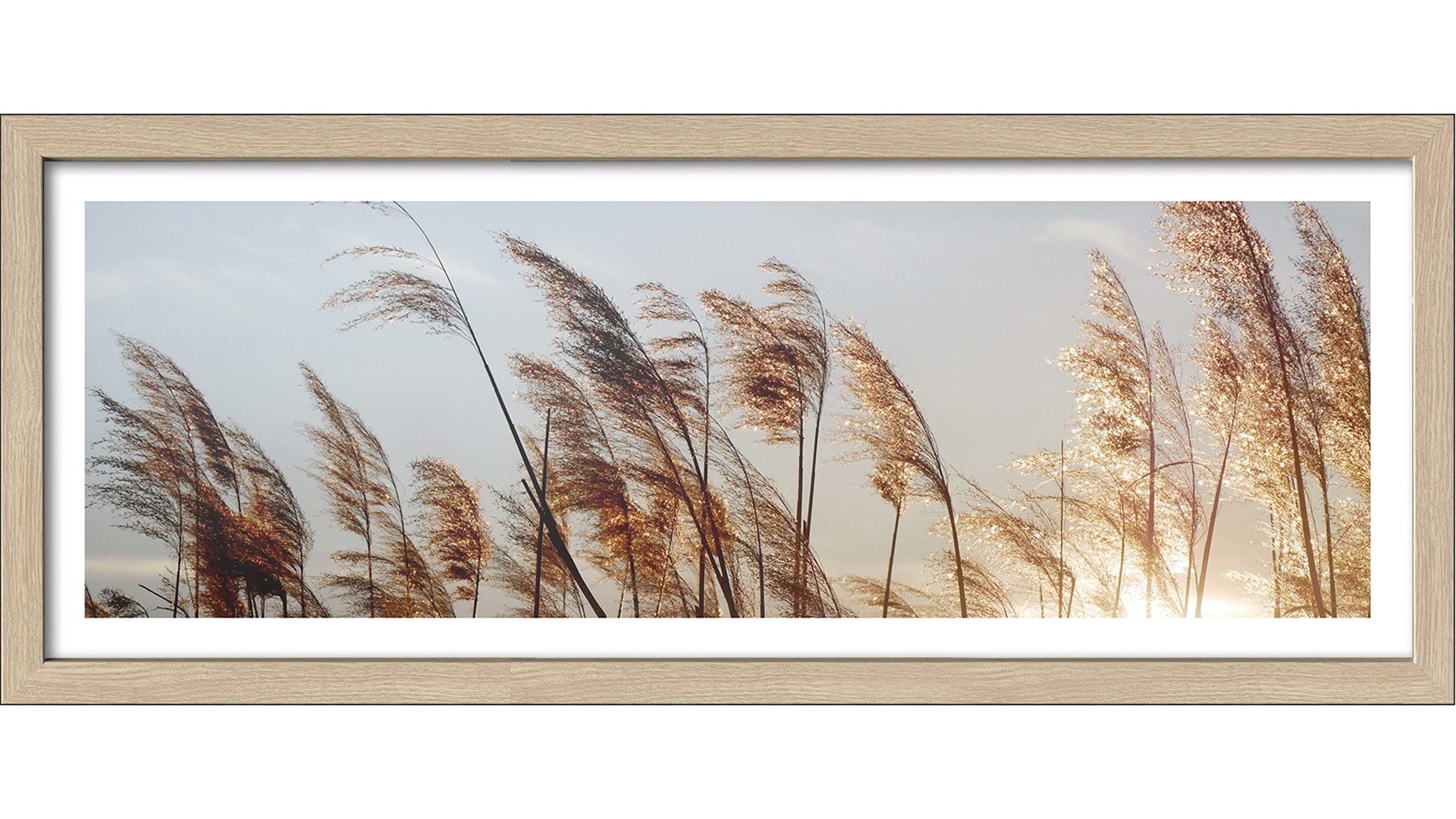 Kunstdruck Pro®art bilderpalette aus Karton / Papier / Pappe in Braun PRO®ART Kunstdruck Dried Fiber V Holzrahmen - ca. 85 x 35 cm