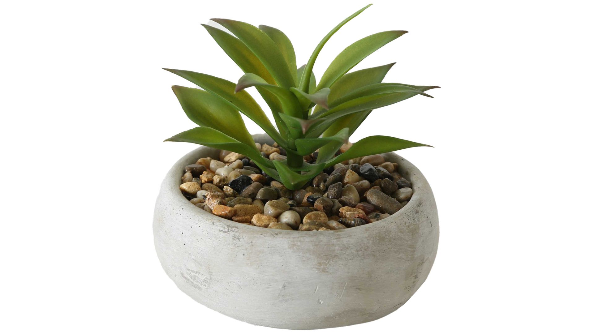 Pflanze Interliving BEST BUDDYS! aus Kunststoff in Grün Sukkulente grüner Kunststoff & Beton - Durchmesser ca. 17 cm