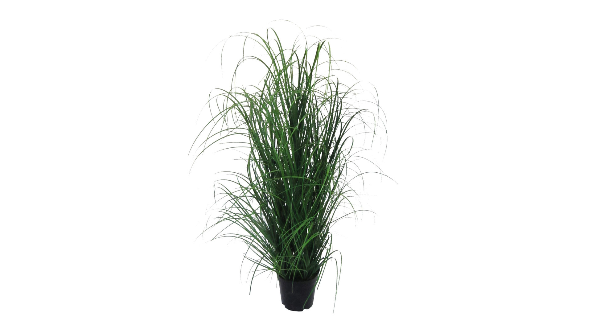 Pflanze Gasper aus Kunststoff in Dunkelgrün Grasbusch künstliche Grünpflanze - Höhe ca. 90 cm