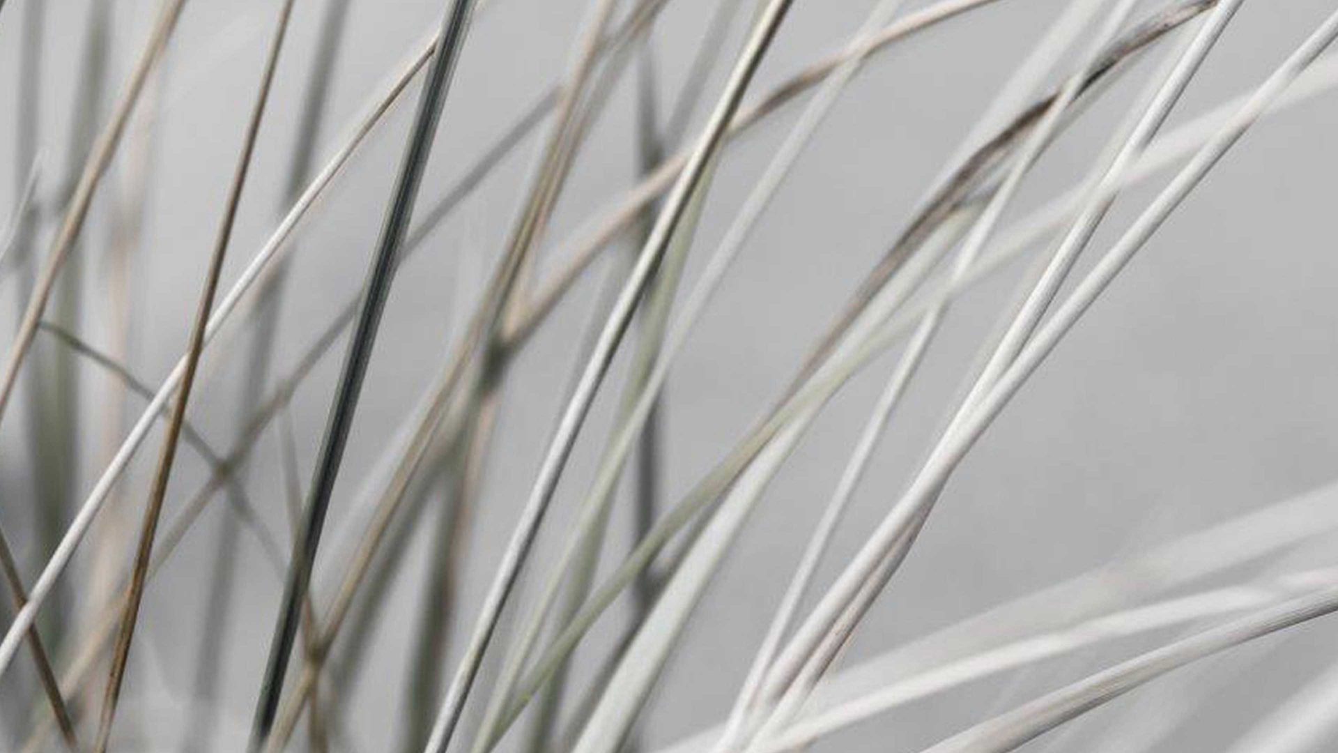 Kunstdruck Malerifabrikken aus Holz in Hellgrün Kunstdruck Mellow Grasses 1 bedrucktes MDF – Durchmesser ca. 110 cm