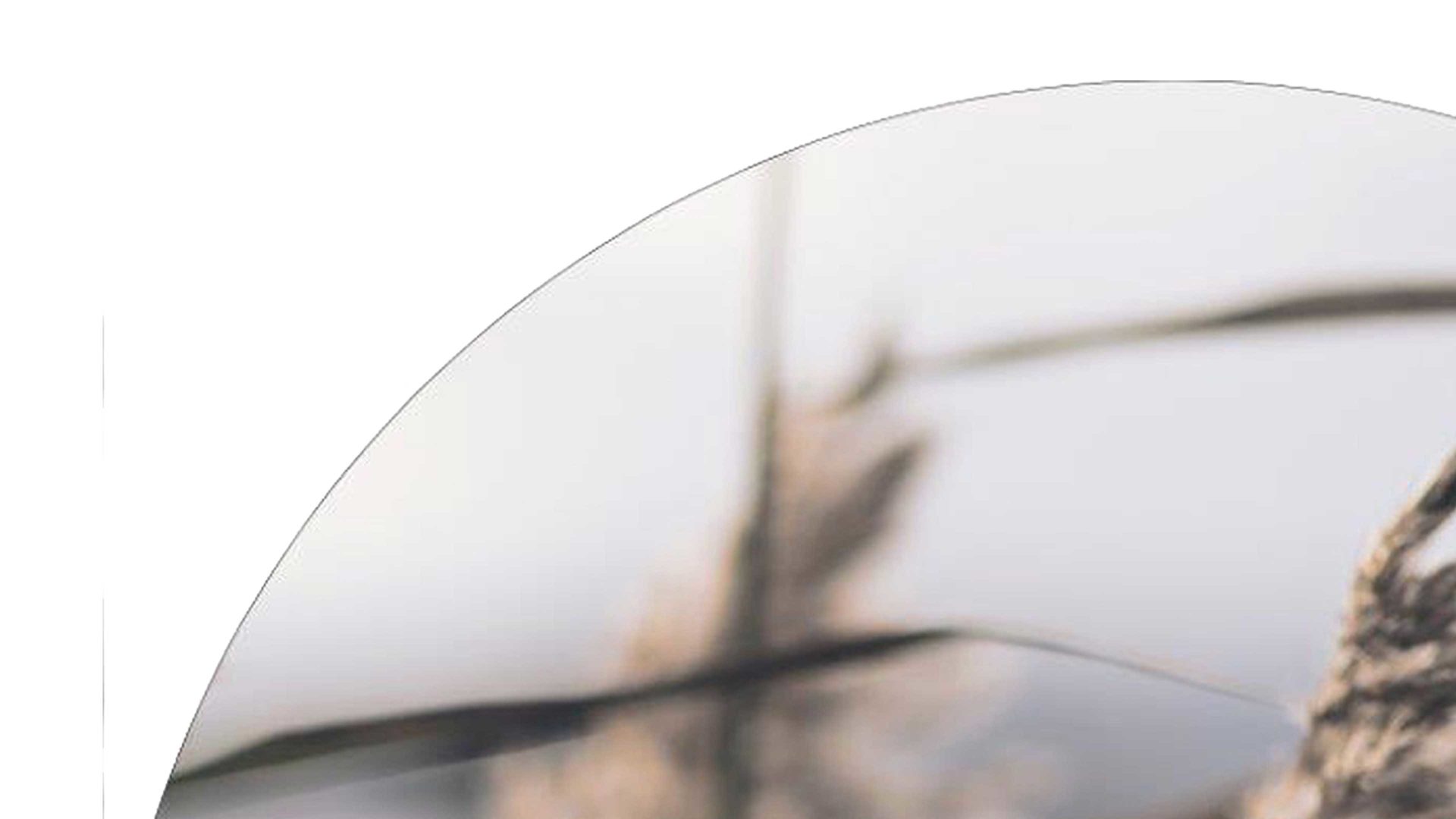 Kunstdruck Malerifabrikken aus Holz in Braun Kunstdruck Mellow Grasses 3 bedrucktes MDF – Durchmesser ca. 70 cm