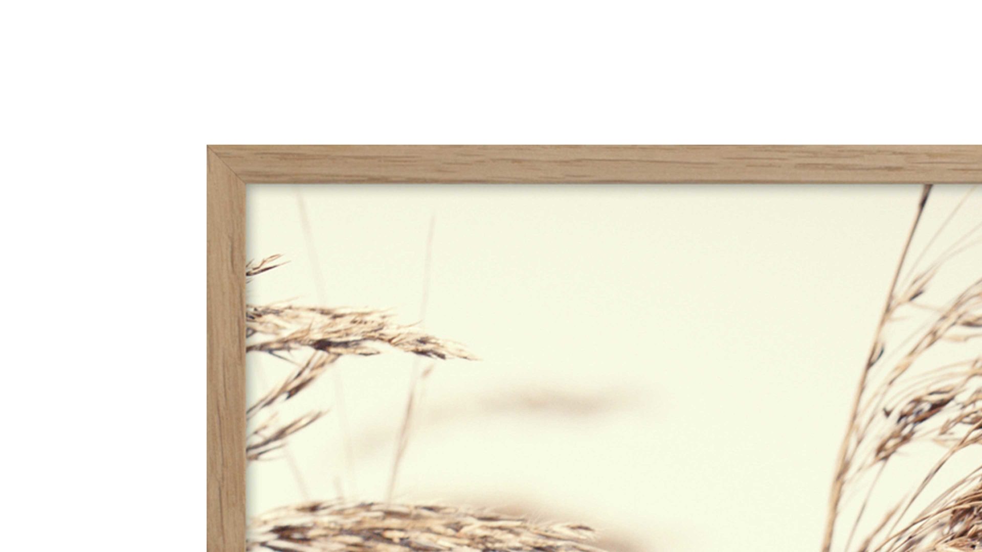 Kunstdruck Malerifabrikken aus Holz in Holzfarben Posterdruck Reed 1 bedrucktes Papier & Eiche – ca. 30 x 40 cm