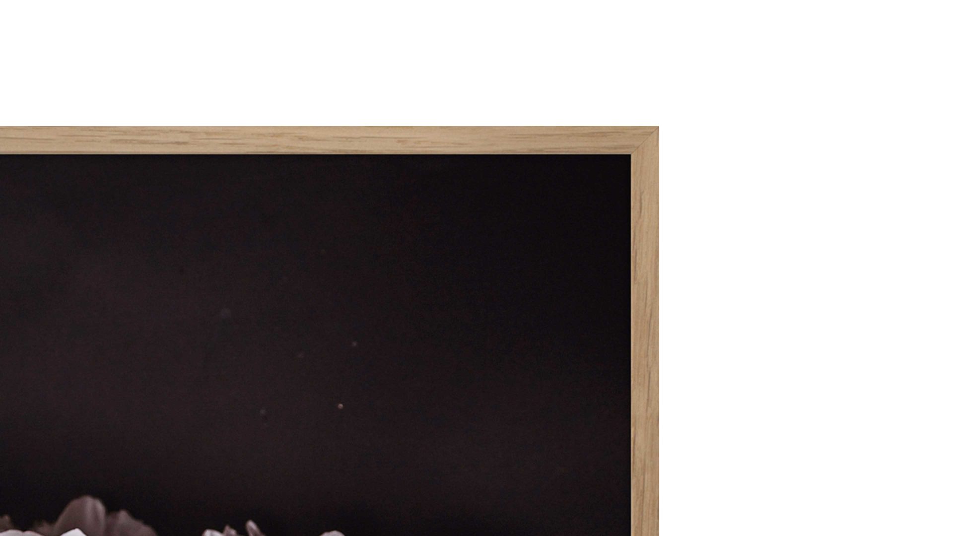 Kunstdruck Malerifabrikken aus Karton / Papier / Pappe in Pastell Posterboard Sigma 2 mit Rahmen Motiv Pfingstrose & Eichenholzrahmen – ca. 50 x 70 cm