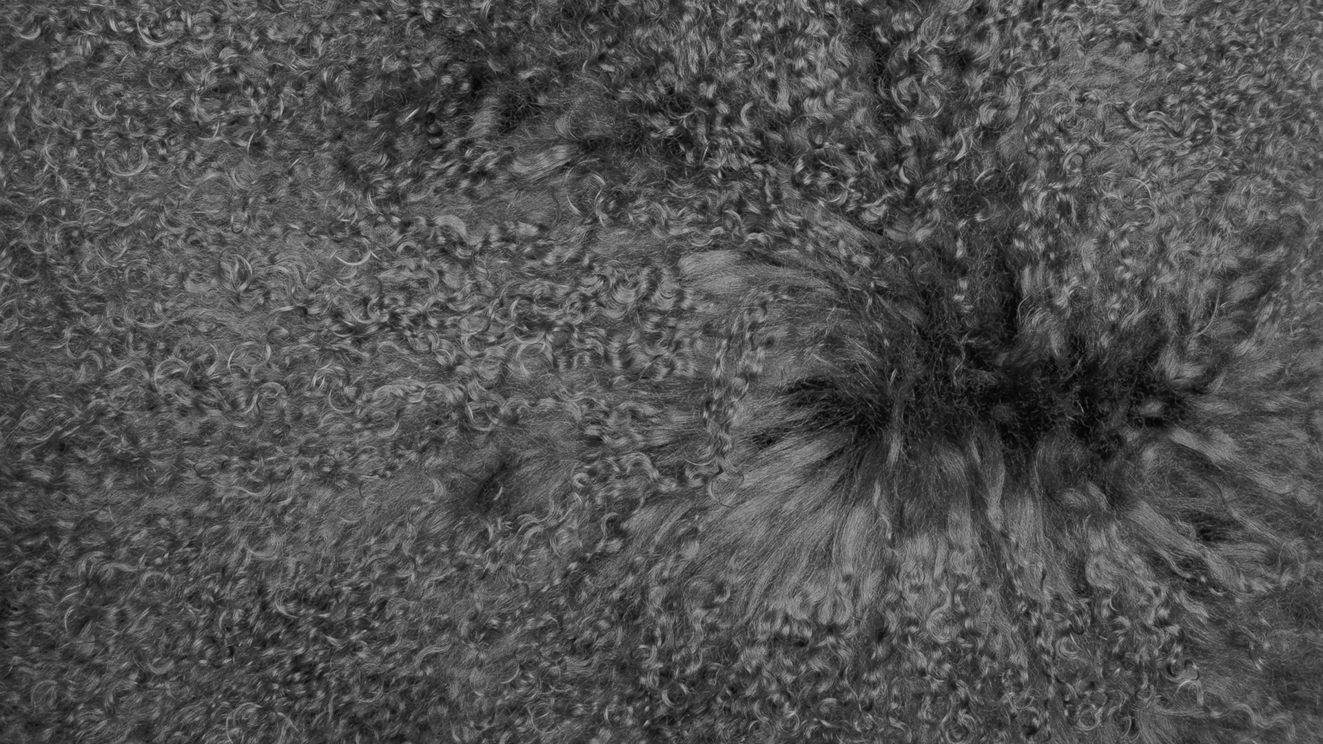 Kissenbezug /-hülle Magma sitting point aus Fell in Anthrazit MAGMA Kissenhülle Pamina anthrazitfarbenes Tibet-Lammfell - ca. 40 x 40 cm