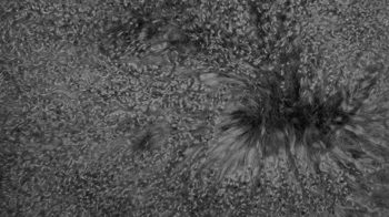 Kissenbezug /-hülle Magma sitting point aus Fell in Anthrazit MAGMA Kissenhülle Pamina anthrazitfarbenes Tibet-Lammfell - ca. 40 x 40 cm