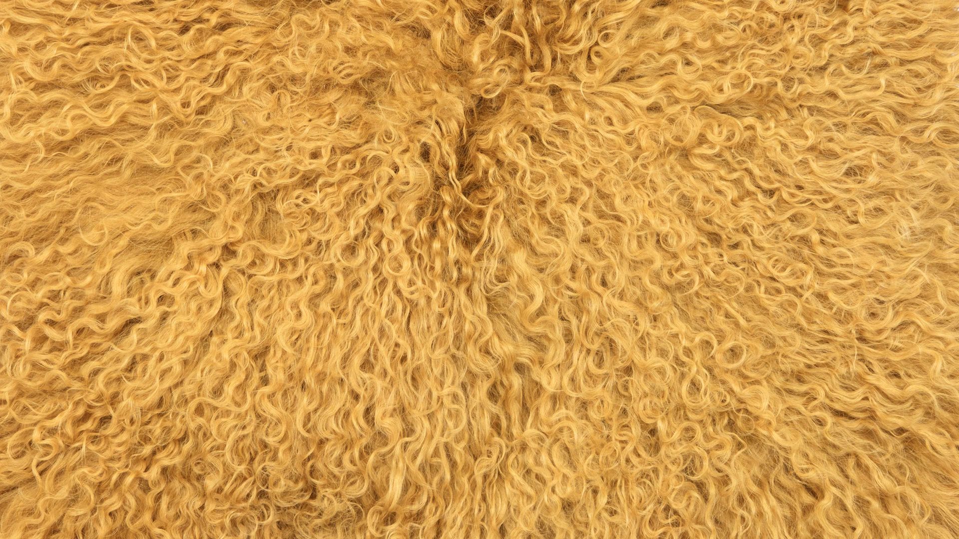 Kissenbezug /-hülle Magma sitting point aus Fell in Gelb MAGMA Kissenhülle Pamina maisfarbenes Tibet-Lammfell - ca. 40 x 40 cm