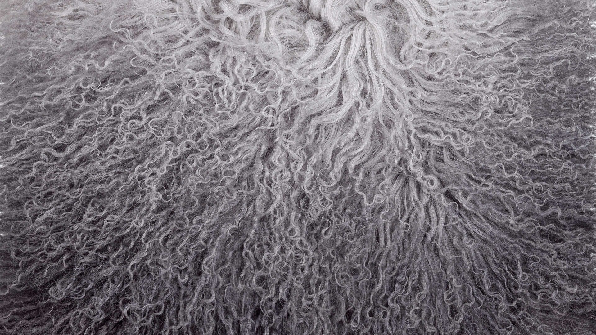 Kissenbezug /-hülle Magma sitting point aus Fell in Grau MAGMA Kissenhülle Pamina mittelgraues Tibet-Lammfell - ca. 40 x 40 cm