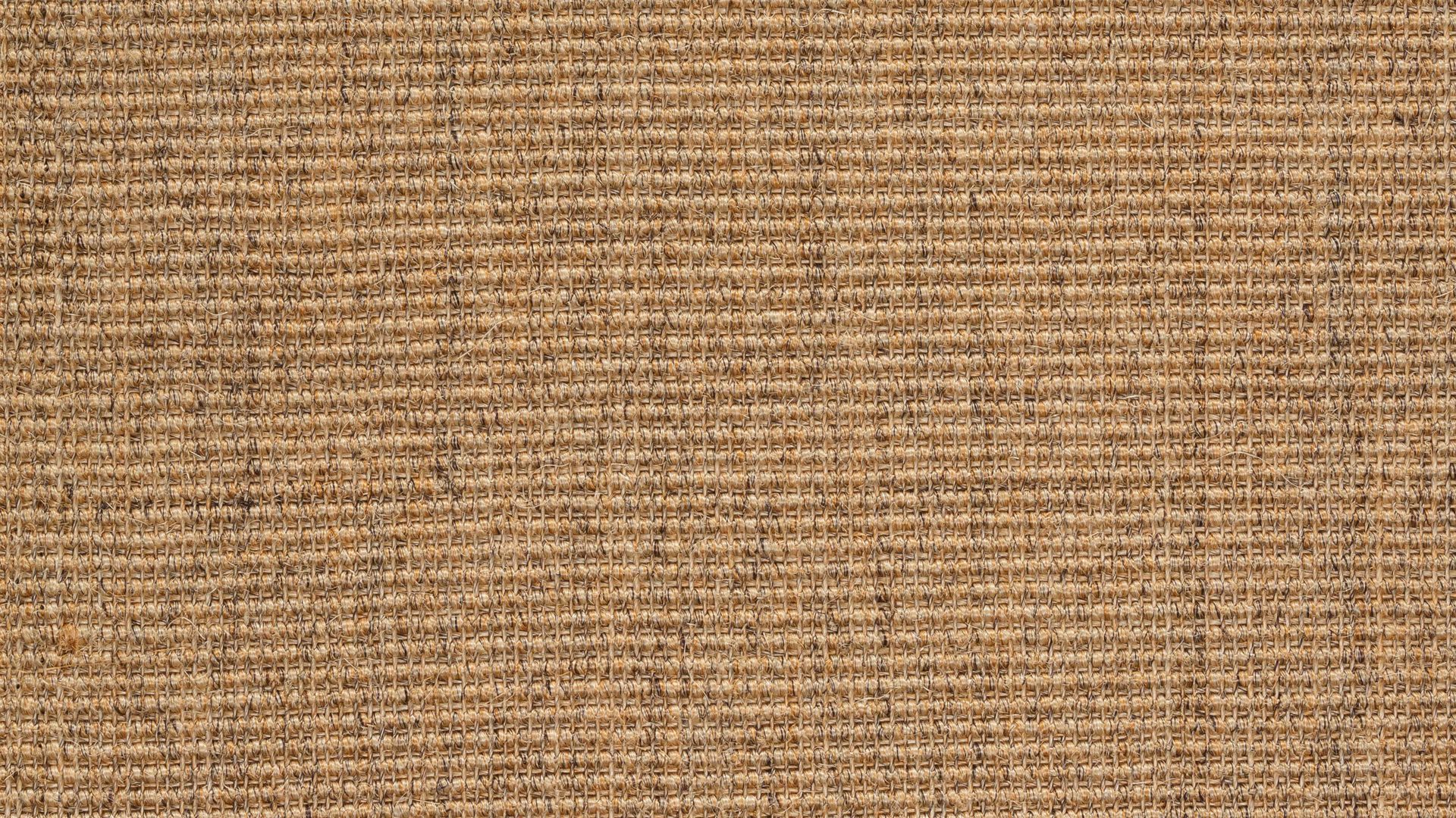 Webteppich Golze | astra aus Naturfaser in Hellbraun ARMADA Teppich Cancun cognacfarbener Sisal - ca. 140 x 200 cm