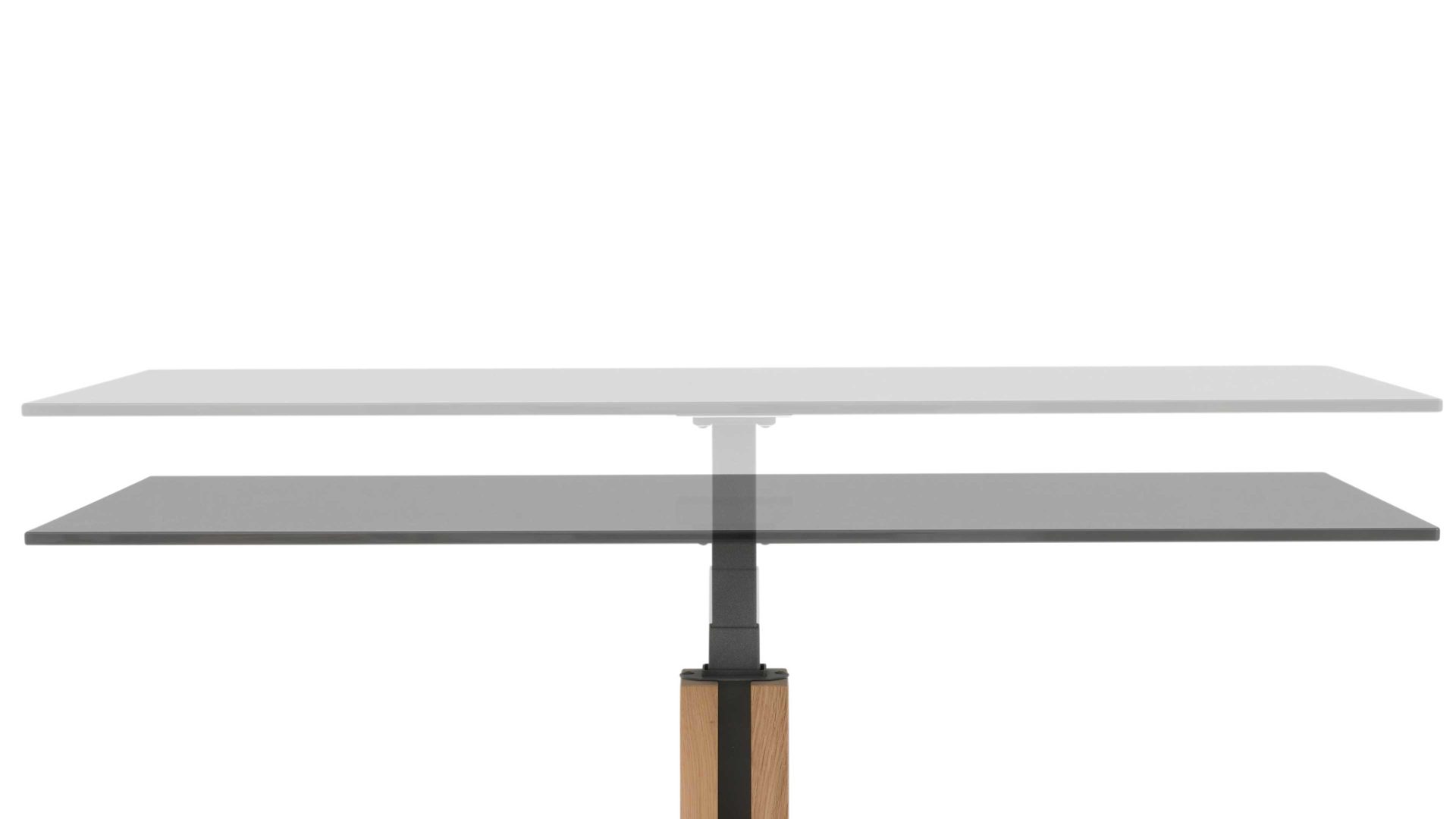 Couchtisch Interliving aus Glas in Dunkelgrau Interliving Couchtisch Serie 6212 - Couchtisch graues Parsolglas & Wildeiche - ca. 100 x 60 cm