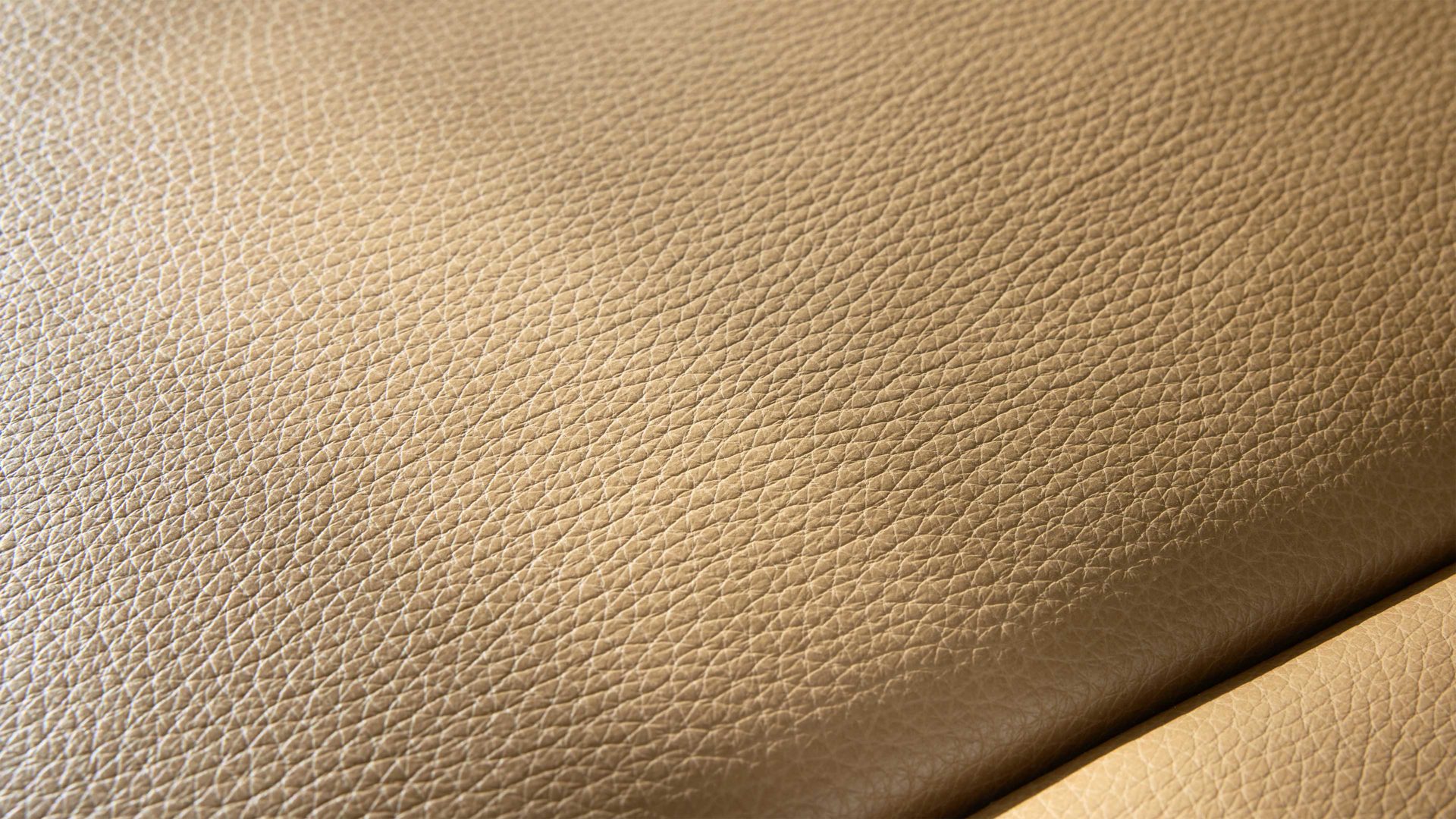 Zweisitzer Interliving aus Leder in Hellbraun Interliving Sofa Serie 4004 - Zweisitzer N80 fangofarbenes LongLife-Leder Z84-21 - Länge ca. 180 cm