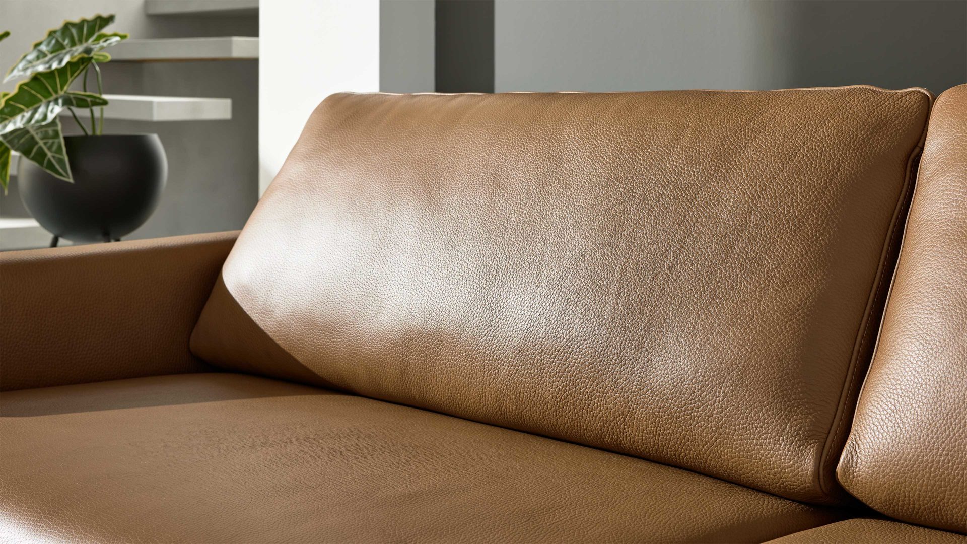 Zweisitzer Interliving aus Leder in Hellbraun Interliving Sofa Serie 4004 - Zweisitzer fangofarbenes LongLife-Leder Z84-21 - Länge ca. 220 cm