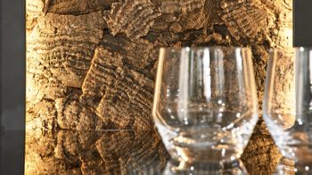 Vitrine Interliving aus Holz in Holzfarben Interliving Wohnzimmer Serie 2025 - Vitrine 06 Wildeiche, Anthrazit & Kork - zwei Türen, Höhe ca. 167 cm