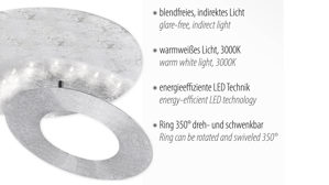 Deckenleuchte Paul neuhaus aus Metall in Silber Paul Neuhaus LED-Deckenleuchte Nevis silberfarbenes, gehämmertes Metall – Durchmesser ca. 27 cm