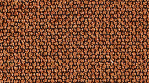 Polsterstuhl Venjakob aus Stoff in Braun VENJAKOB Armlehnenstuhl Benita terrafarbener Webstoff Konstanz Q2 & sattelbrauner Mikrofaserbezug Kapstadt, matt anthrazitfarbenes Metall